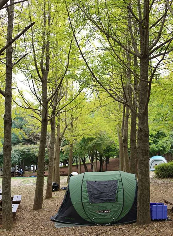 원적산공원