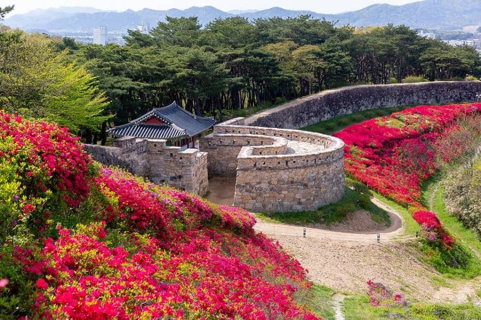 [6월 축제]2025 고창국가유산야행❘기간, 일정, 공연 및 체험 프로그램 정리