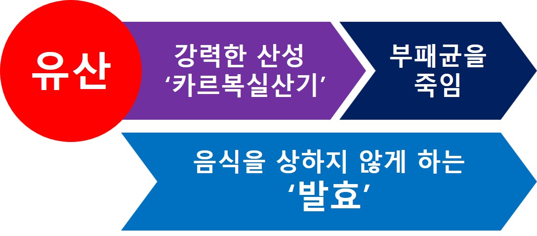 프로바이오틱스