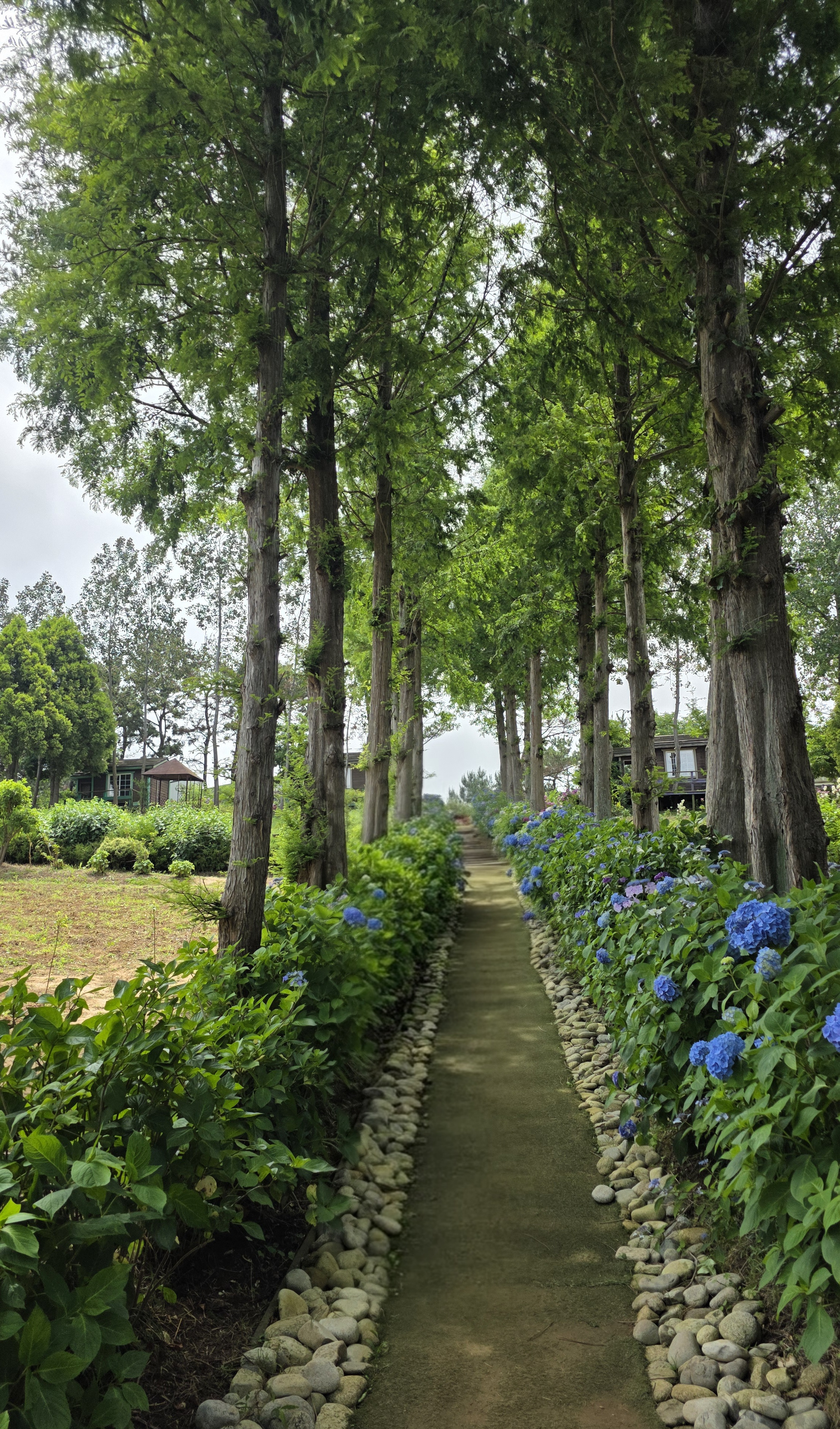 팜카밀레 허브농원