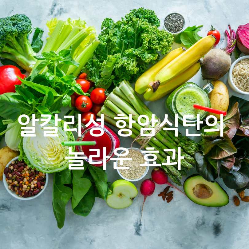 알칼리성 항암식단