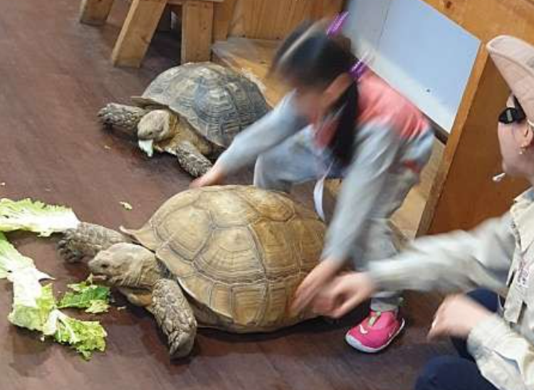 센트럴 곤충 생태농장