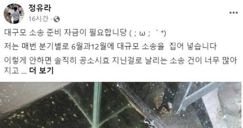 정유라 후원요청 국힘 발언 이유 배경