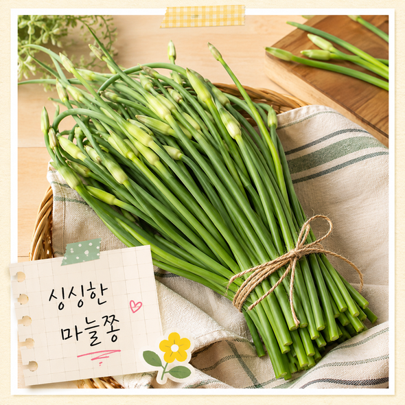 마늘쫑장아찌 맛있게 담그는법