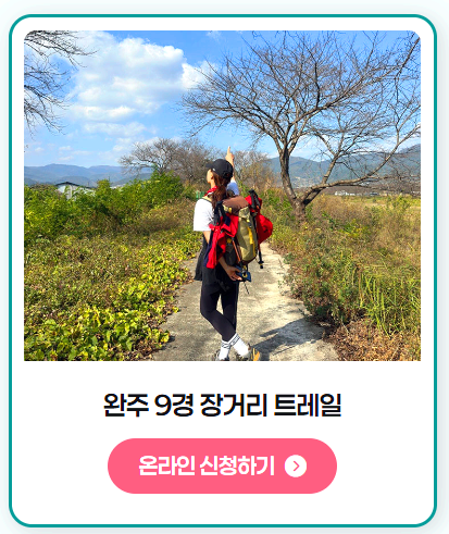 완주 대둔산 축제