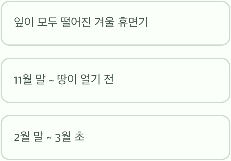 &amp;#39;골든 타임&amp;#39;을 놓치지 마세요! 가지치기 최적 시기