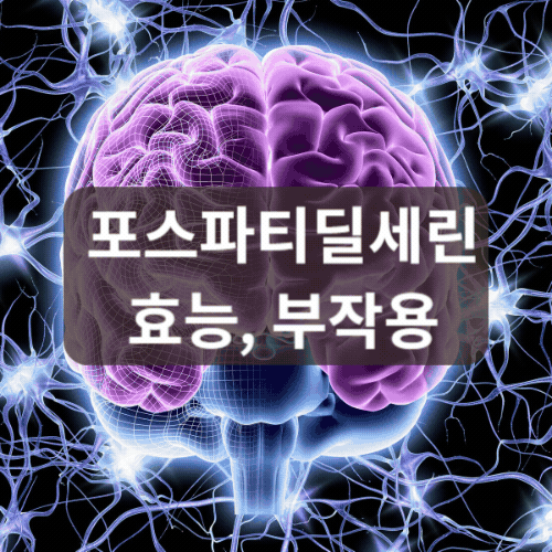 포스파티딜세린 효능부작용 썸네일