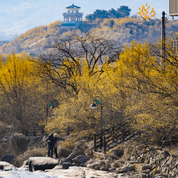 구례 산수유축제 주차장 19번 국도 막히기 전 자가용 방문 방법
