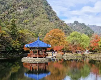 내장산 단풍_2