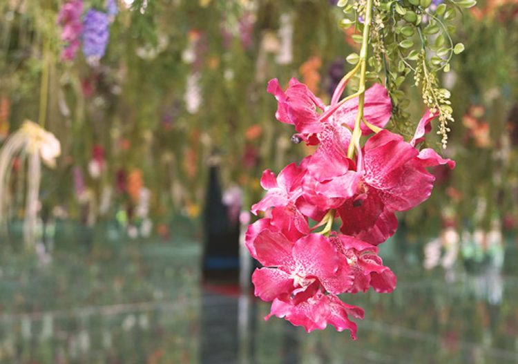 가평 베고니아 새정원