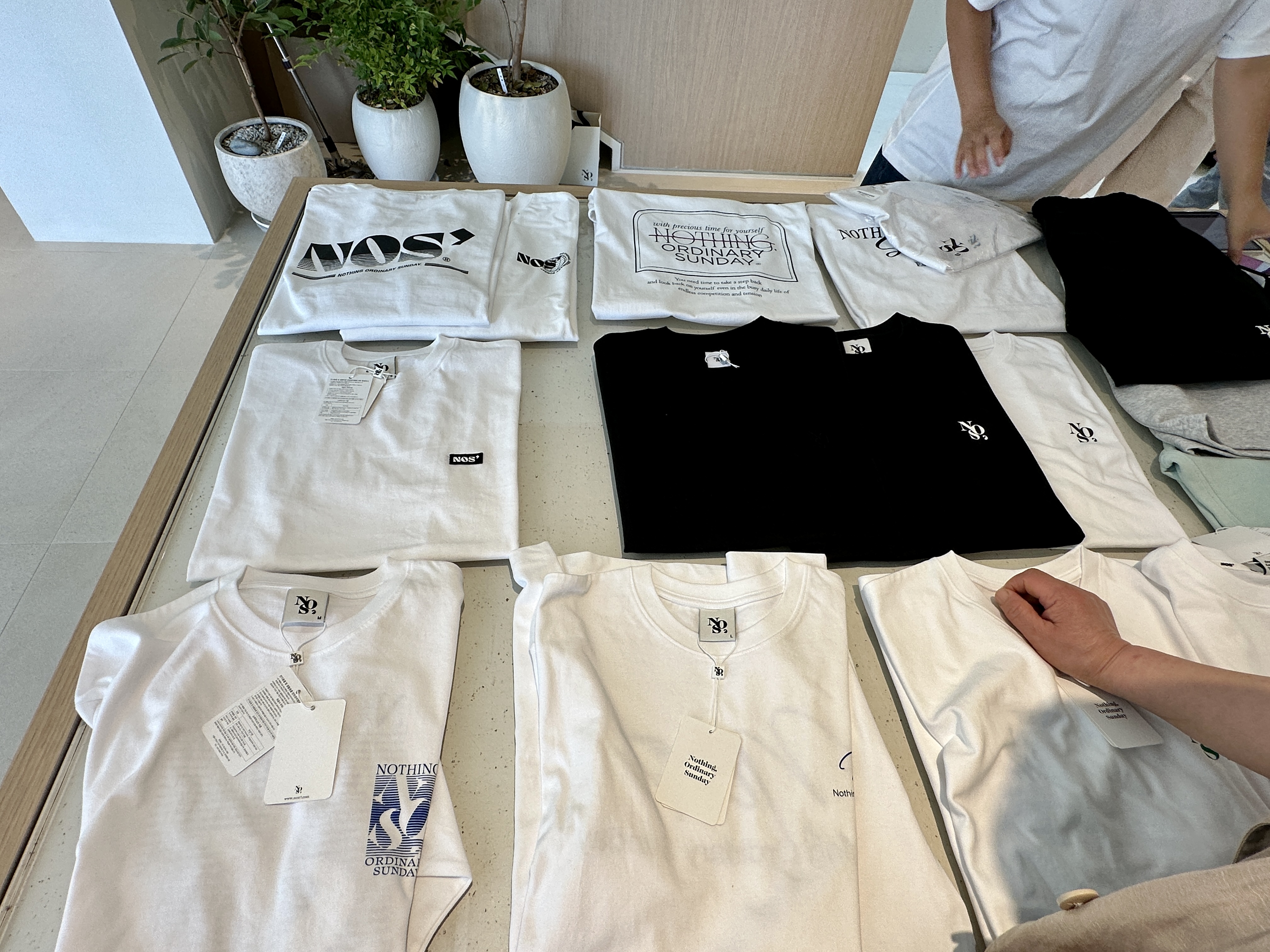 춘천 손흥민 카페 인필드 INFEELD NOS7