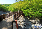 한라산 탐방예약