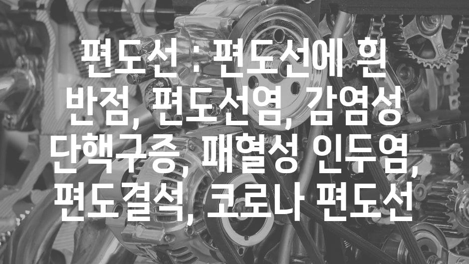 샘플 (59)