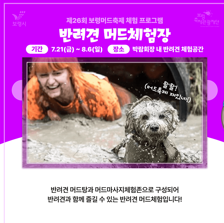 보령머드축제