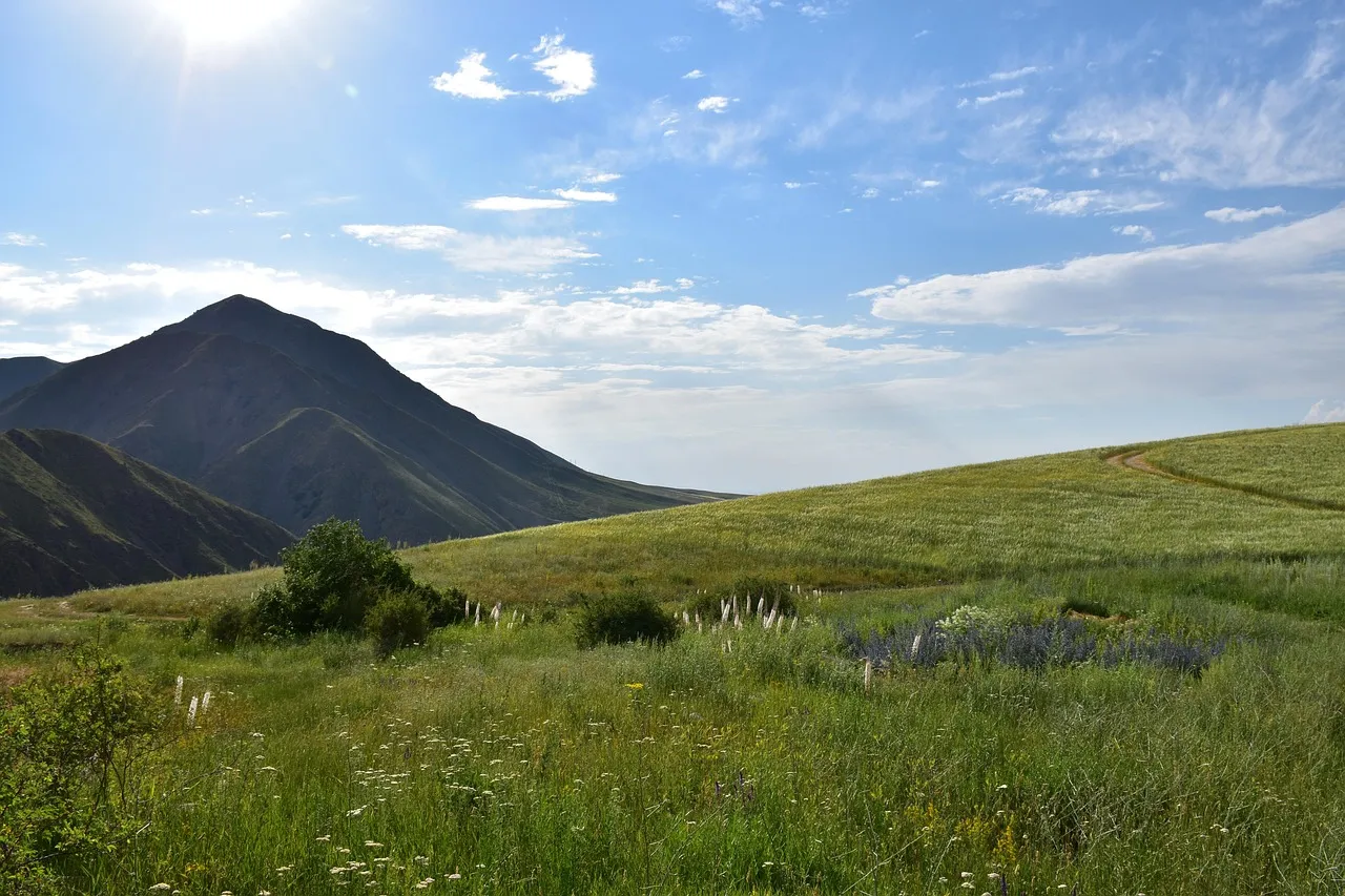 출산전후휴가 급여 대위신청
