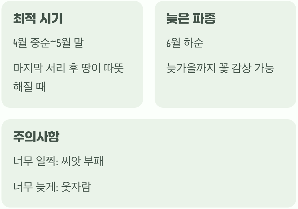 씨앗 뿌리기, 언제가 가장 좋을까?