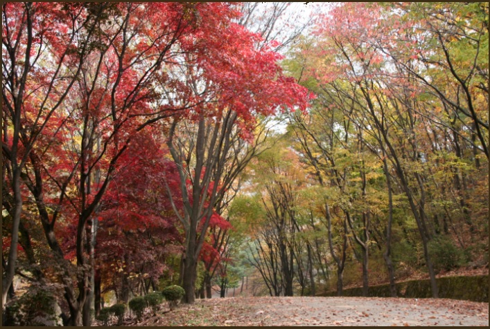 서울대 안양수목원(관악수목원) 개방 안내