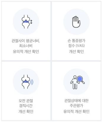 콘드로이친-효능