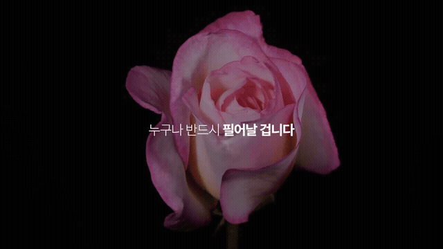 누구나 반드시 피어날 겁니다