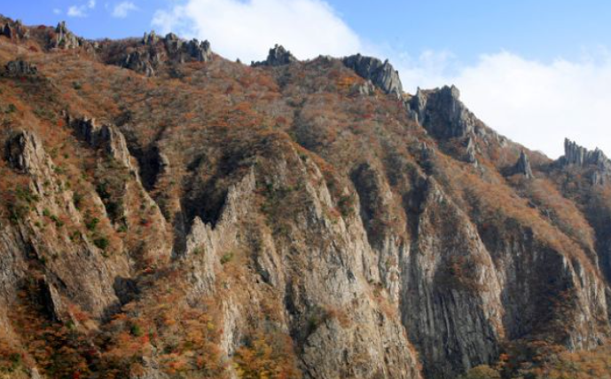 2025 한라산 단풍 절정시기 공개! 가을 초보자 코스 완벽 정리