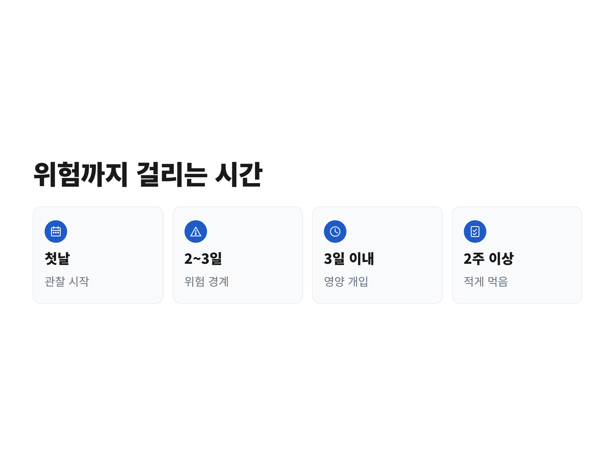 고양이가 밥을 먹지 않은 첫날부터 2~3일, 2주까지 위험이 커지는 시간 흐름