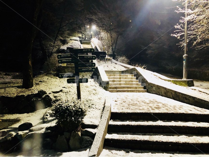 크리스마스 데이트 어디 갈까? 연인에게 딱 좋은 서울 코스 BEST