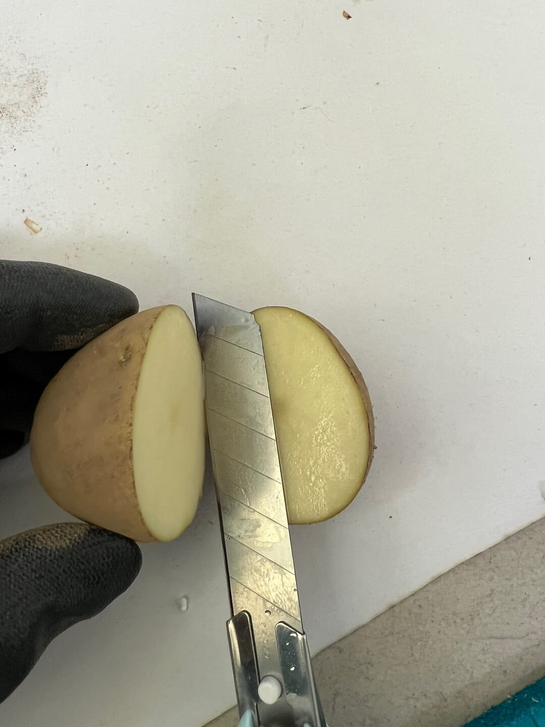 씨감자 절단하기