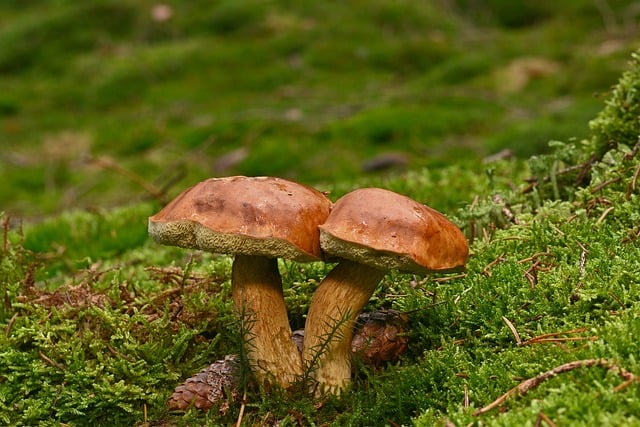 소득 하위 70% 부부 합산 소득 기준