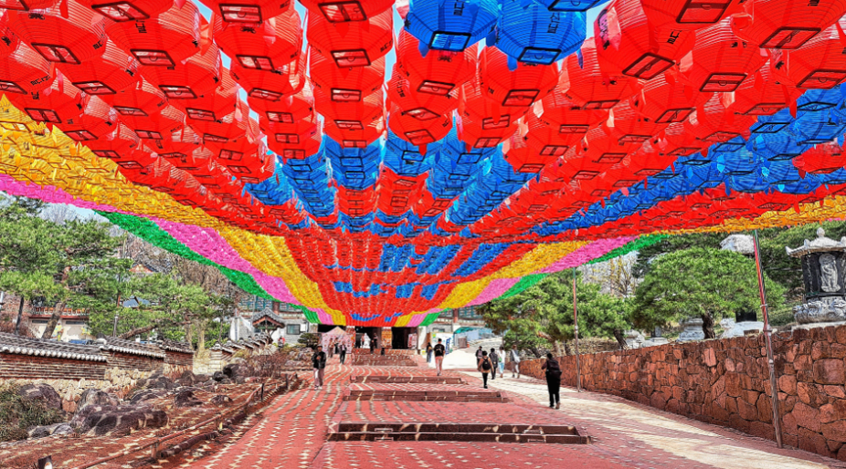 2025. 4. 19. 봉은사 연등제 야경 산책 후기 (겹벚꽃, 라일락, 홍매화 개화상황 포함)