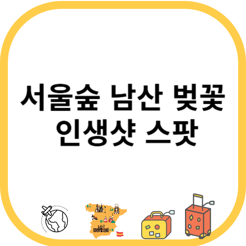 서울숲 남산 벚꽃 인생샷