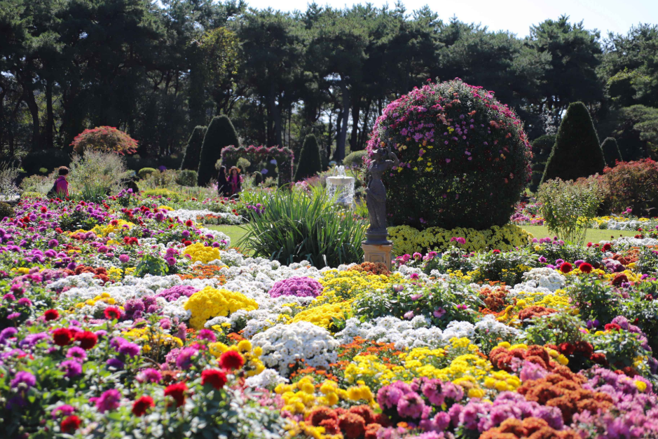 벽초지 가을 단풍