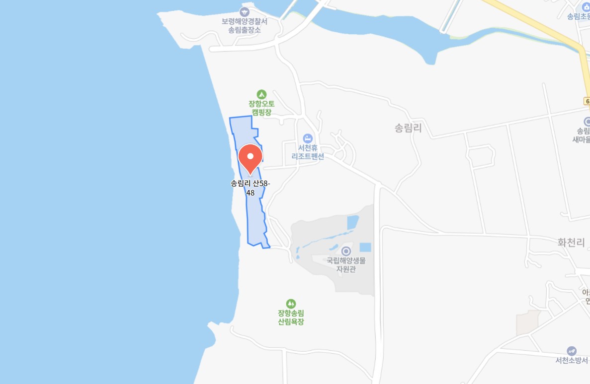 장항 맥문동 꽃 축제