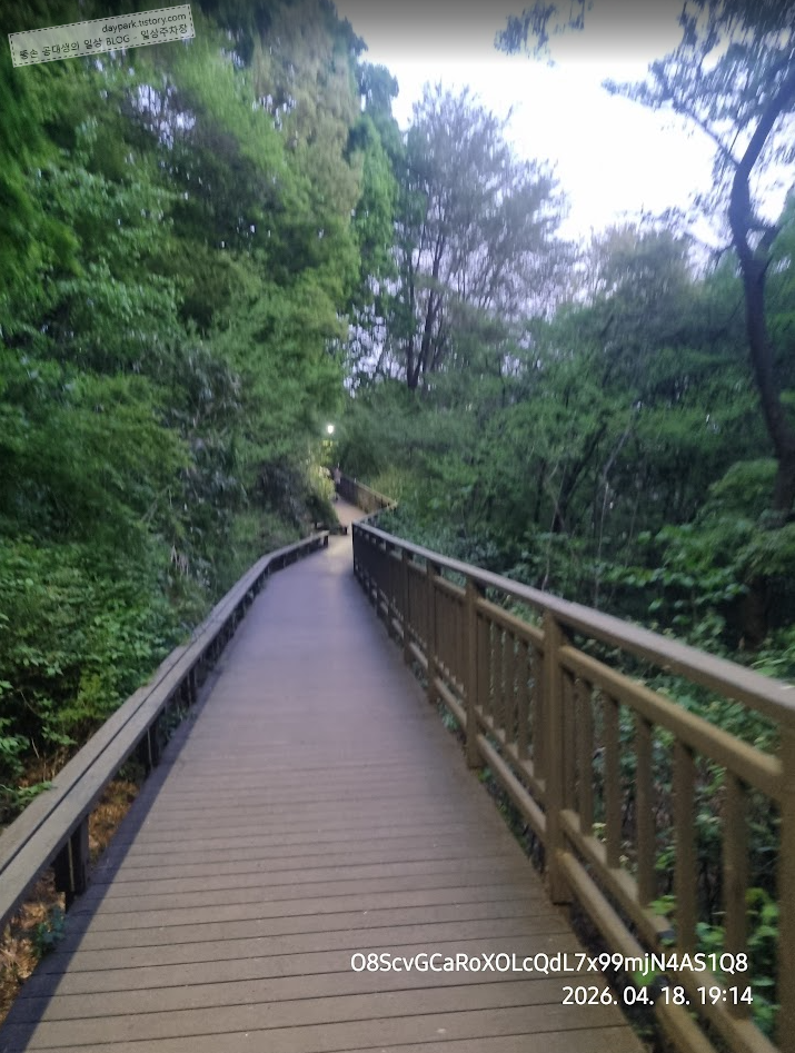 용왕산 산책로