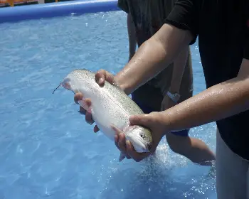 평창 더위사냥축제_11