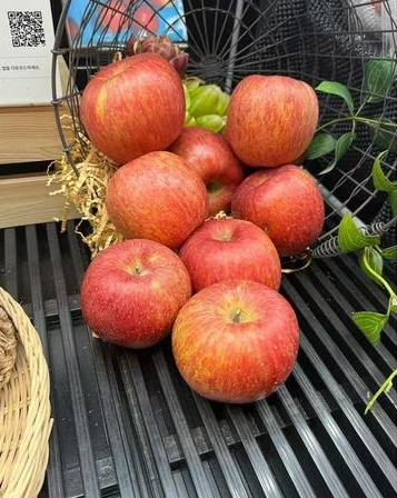 현대카드-정태영-부회장-인스타-Lovely-apple