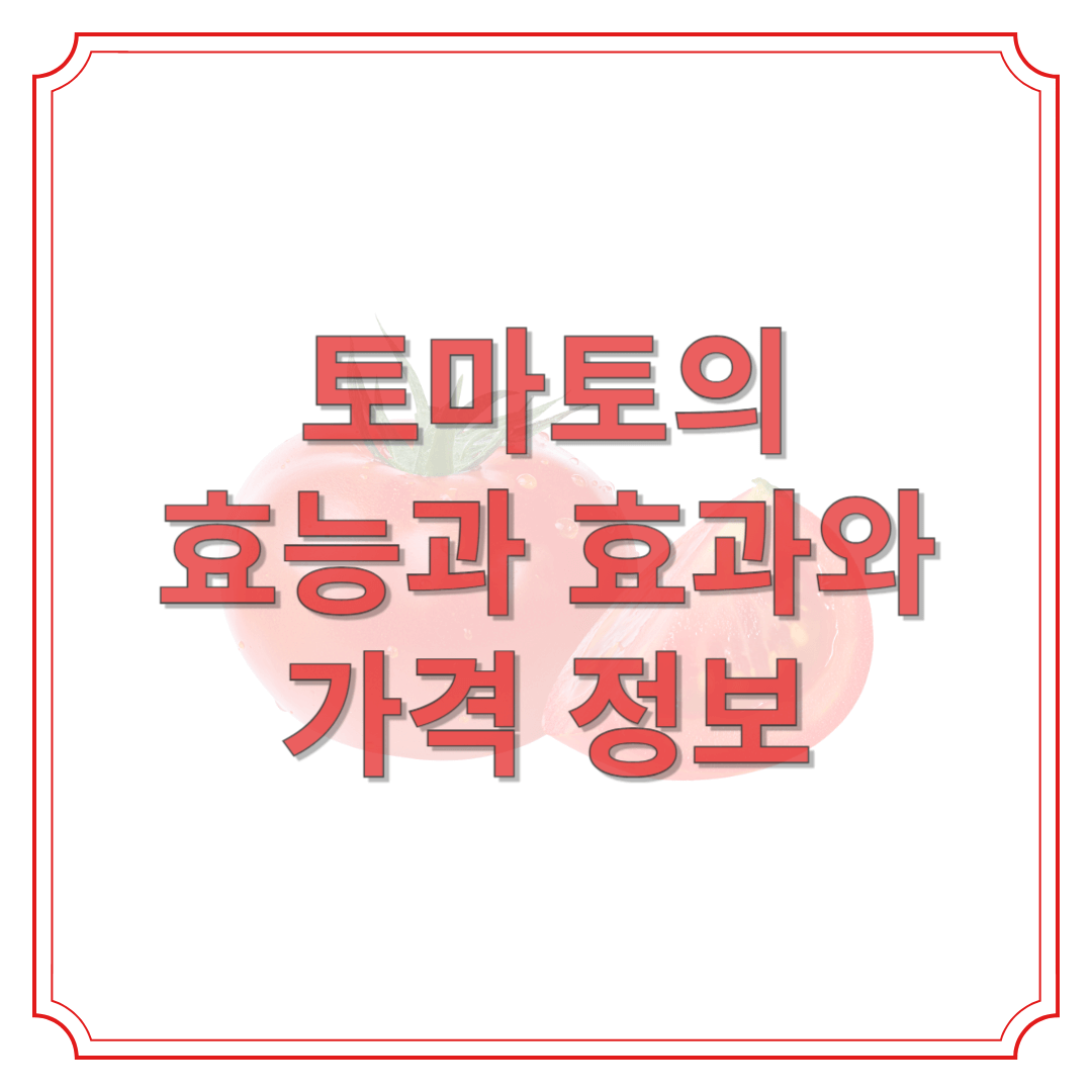 토마토의 효능과 효과와 가격 정보