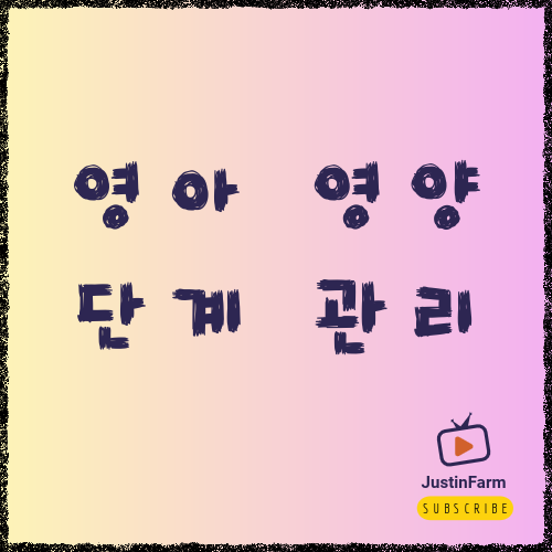 이유식 시작 시기와 단계별 준비 가이드, 초보 부모를 위한 완벽 정리