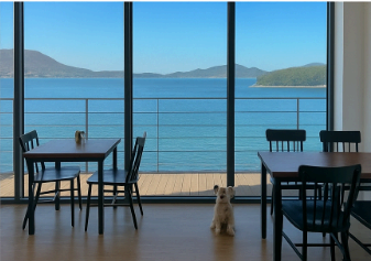 거제도 오션뷰 맛집 :: 거제식탁