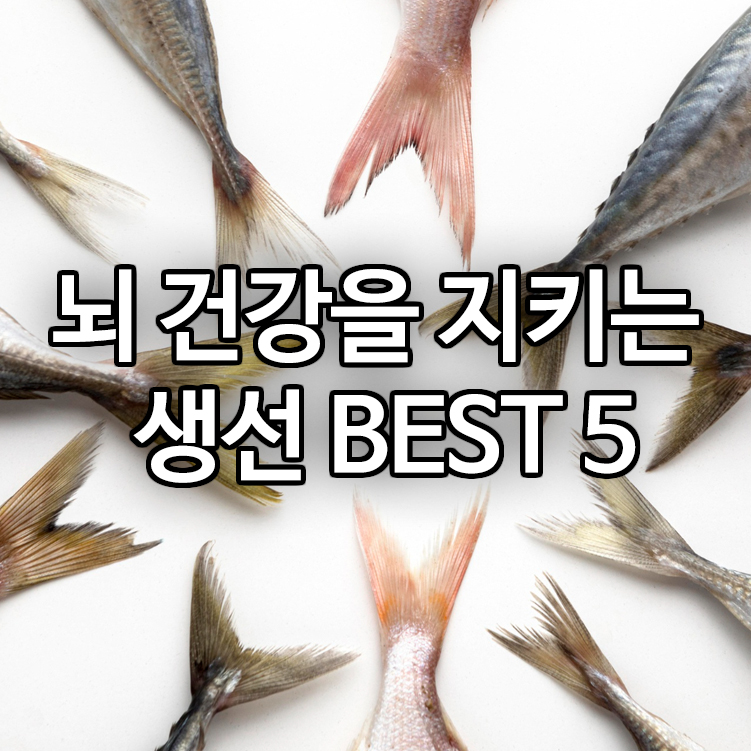 뇌 건강을 지키는 생선 BEST 5