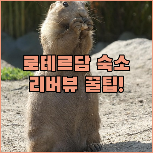 중앙역 근처부터 리버뷰까지 로테르담 ..