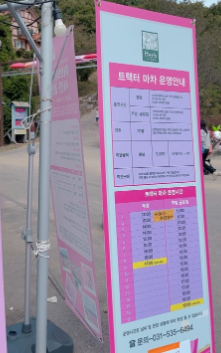 포천 허브아일랜드-핑크뮬리