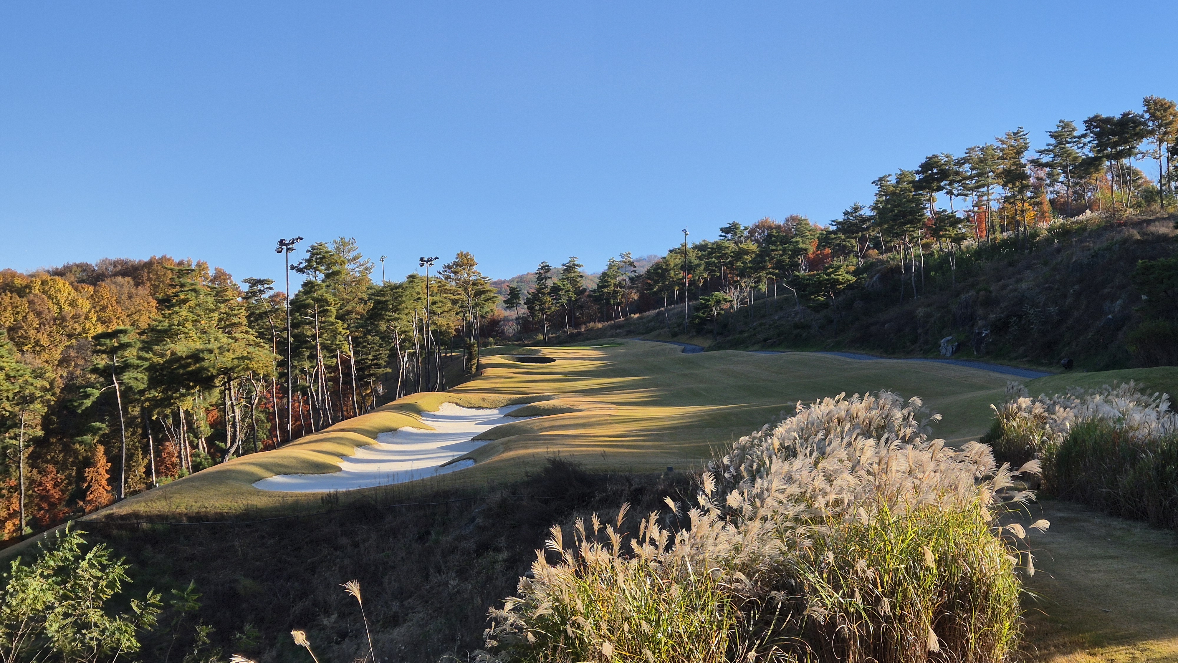 레이캐슬cc 세종 코스 사진 및 공략 정보