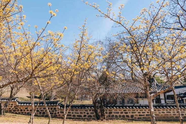 백성을 배려해 연기가 낮게 깔리는 온돌방 굴뚝