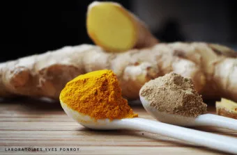 강아지 카레가루 먹었을 때 대처하는 방법과 예방 팁_7