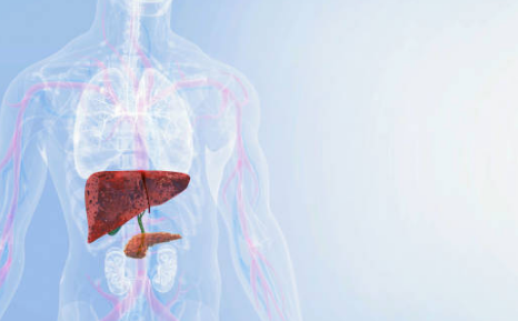 간수치가 높으면 나타나는 증상&amp;#44; 올라가는 이유&amp;#44; 간수치 정상범위 총정리 (2024ver)