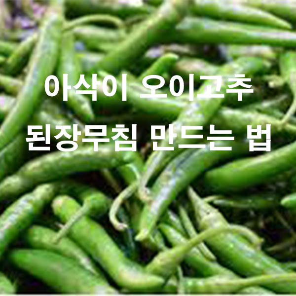 아삭이 오이고추 된장무침 만드는 법