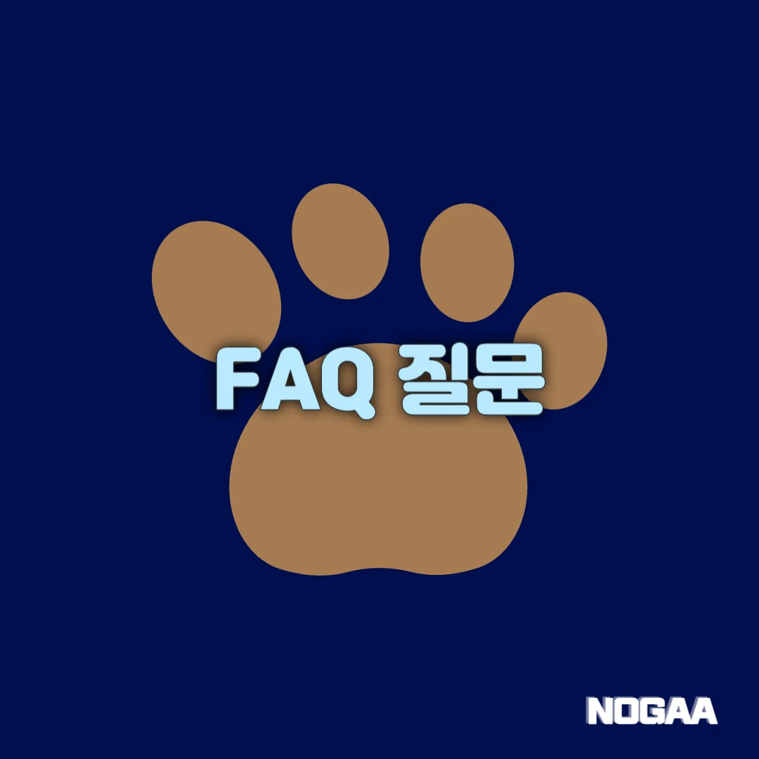 FAQ 질문