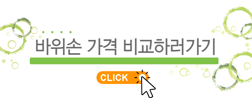 바위손 가격 비교