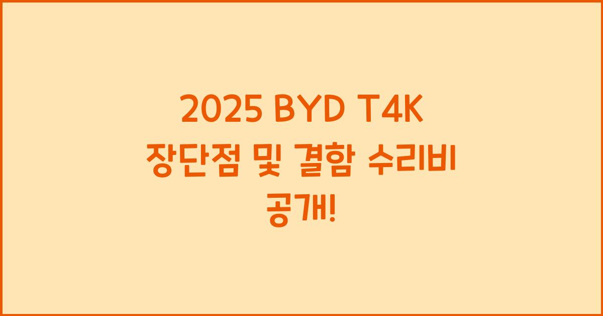2025 BYD T4K 장단점 결함 수리비