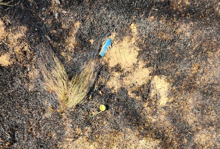 안동 산불 범인은 성묘객